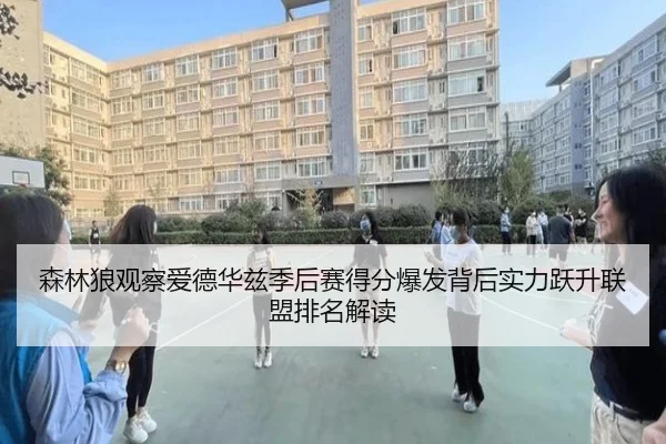 森林狼观察爱德华兹季后赛得分爆发背后实力跃升联盟排名解读 - kaiyun